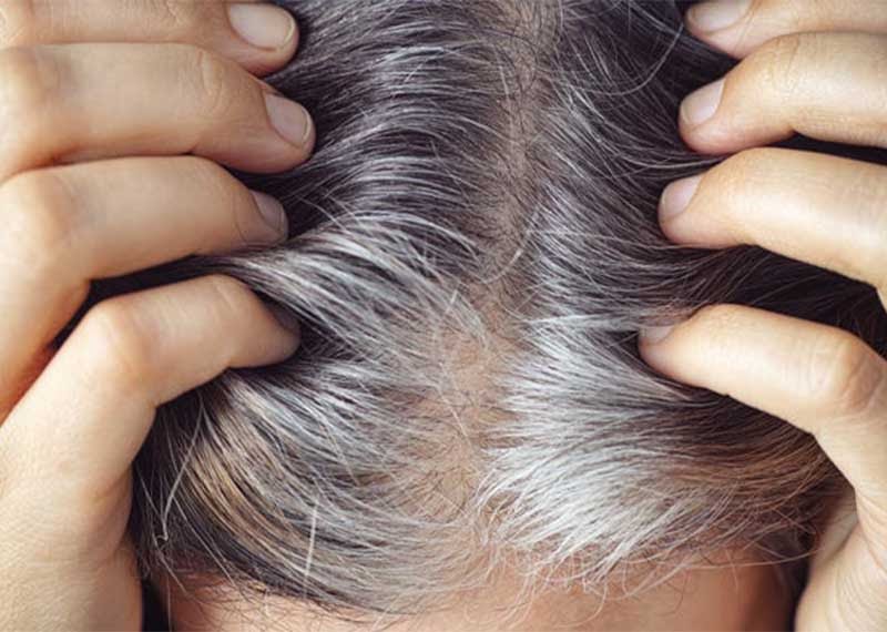 بهترین مرکز رنگ مو نوشهر و چالوس